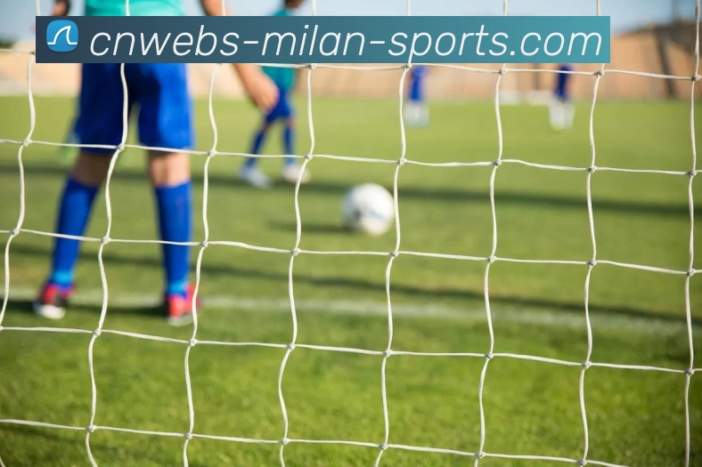 米兰体育入口平台生态图