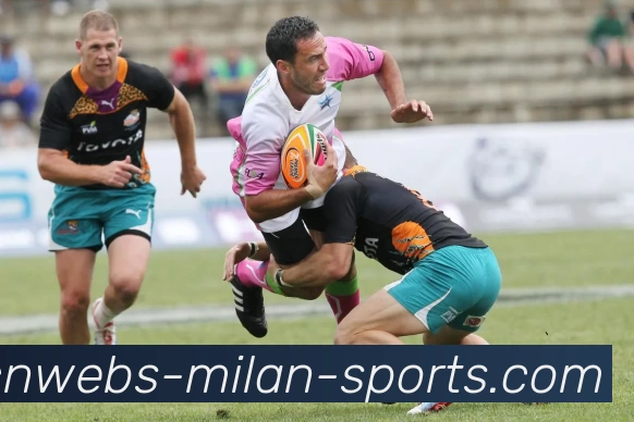 米兰体育入口全站App